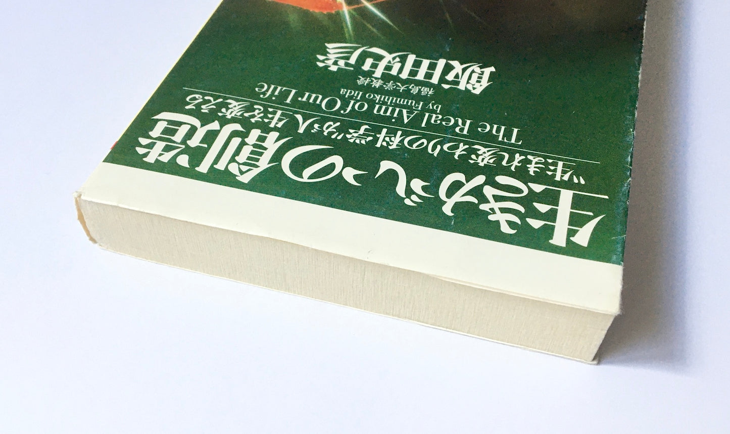 生きがいの創造: 生まれ変わりの科学が人生を変える