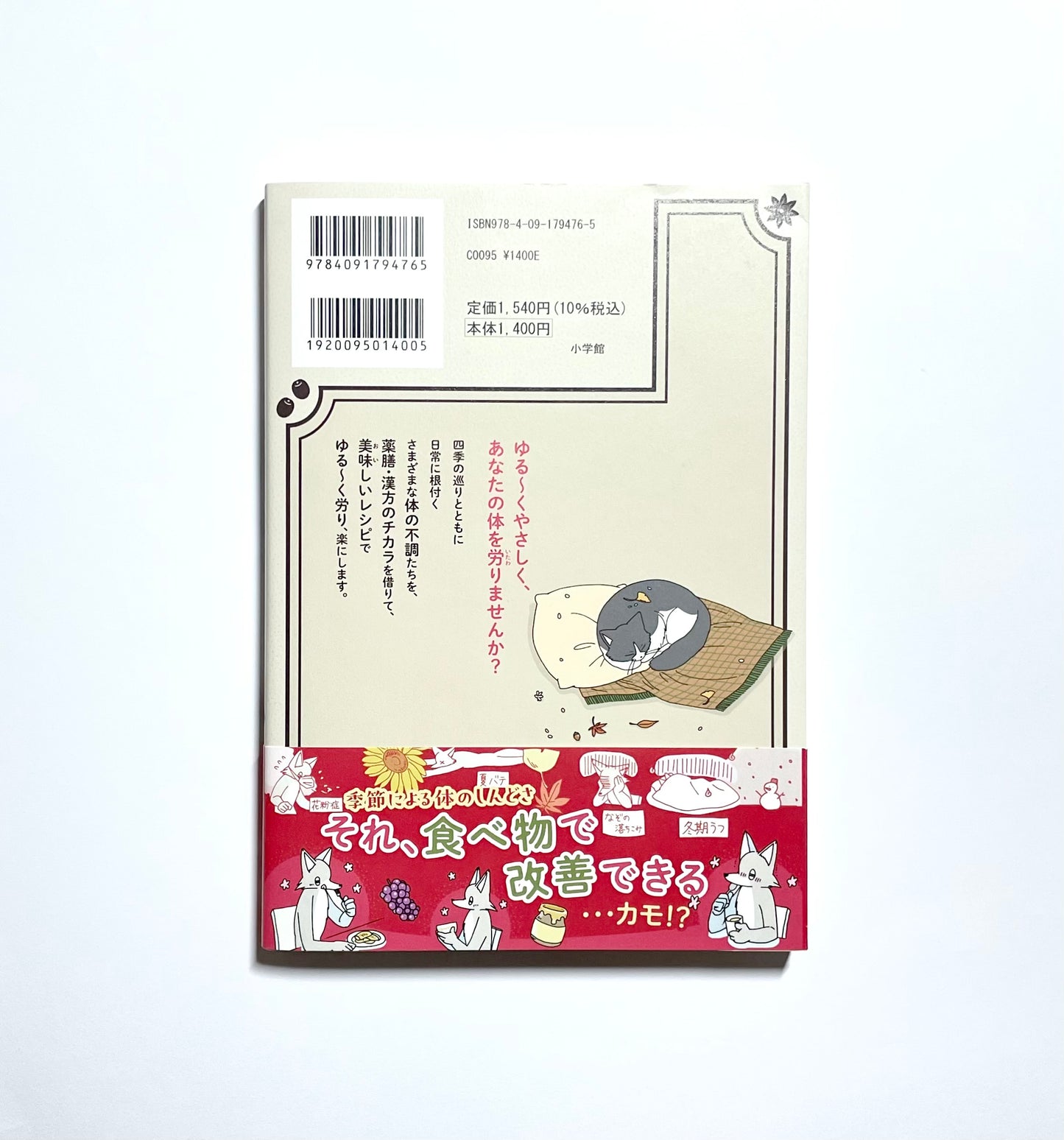 午後のおいしい薬膳日記 (1) (ビッグスピリッツコミックススペシャル)
