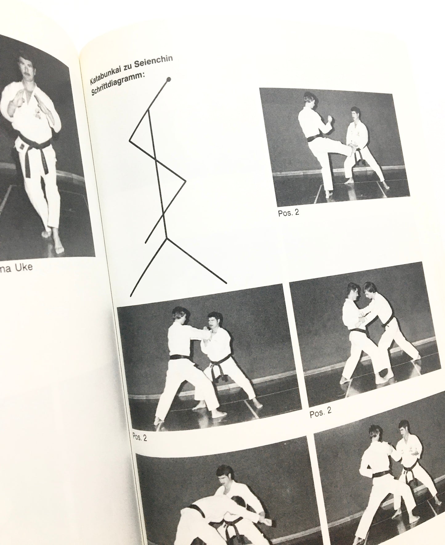 Goju-Ryu Karatedo : Geschichte, Weg und Ziel. Mit 600 Fotos und praktischen Beispielen.