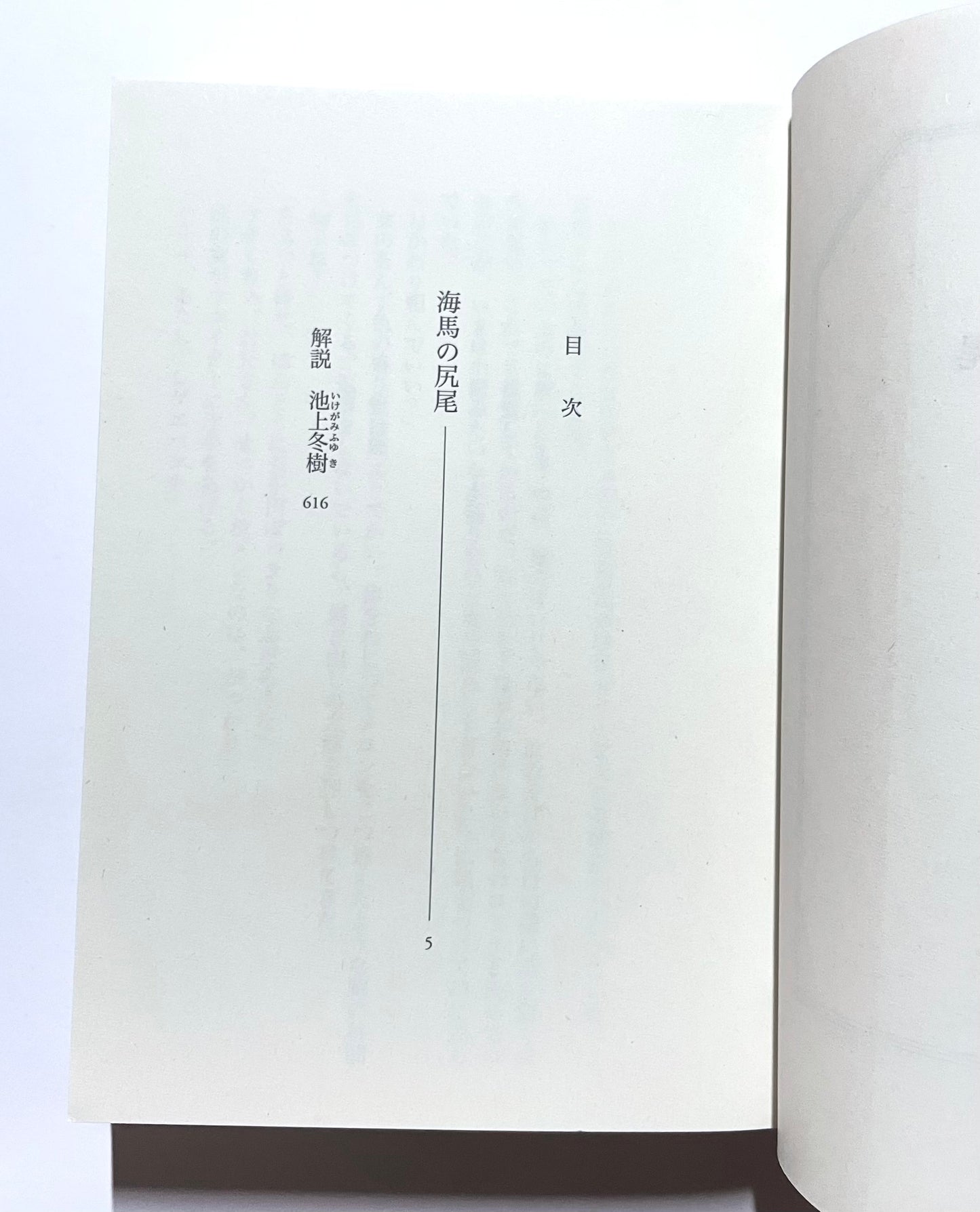 海馬の尻尾