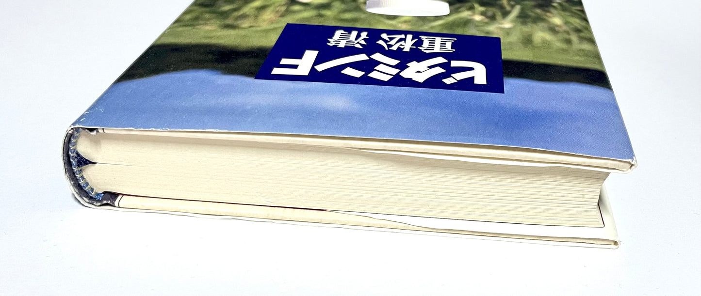 ビタミンＦ