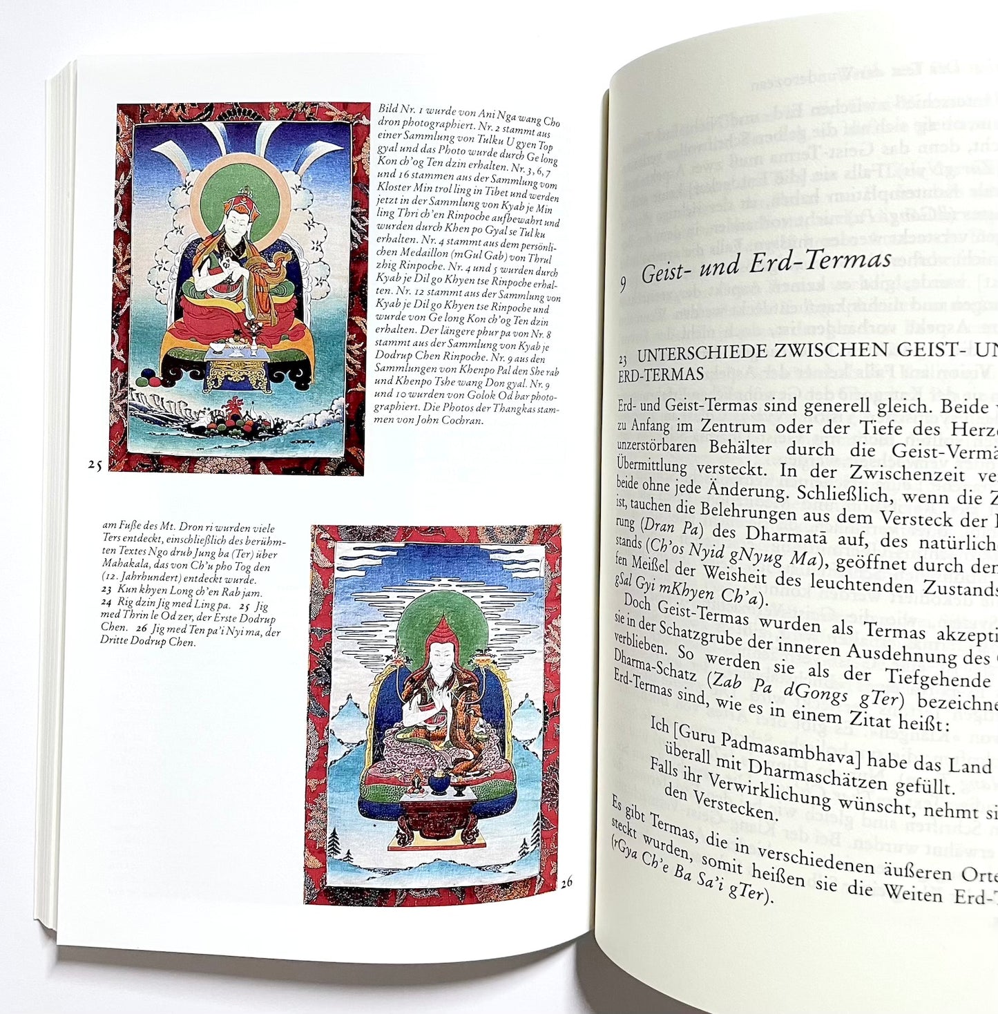 Die verborgenen Schätze Tibets: Eine Erklärung der Termatradition der Nyingma-Schule des Buddhismus