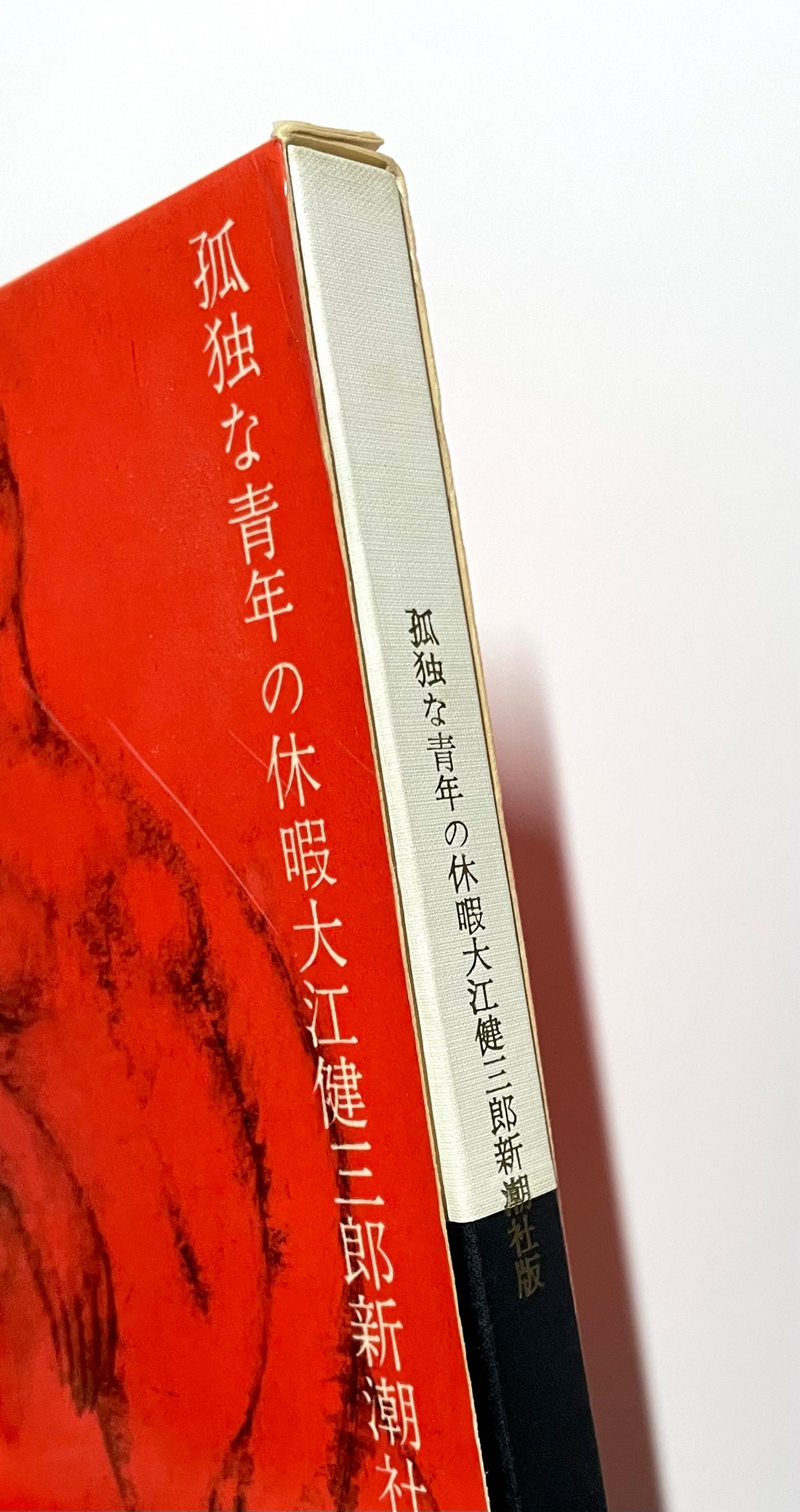 孤独な青年の休暇