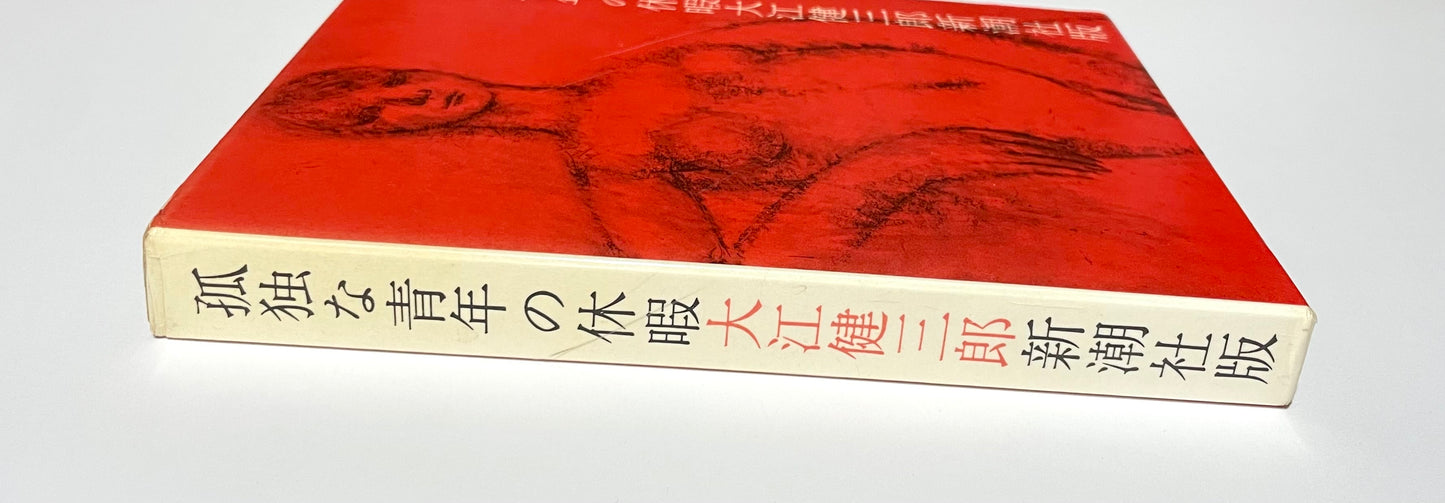 孤独な青年の休暇