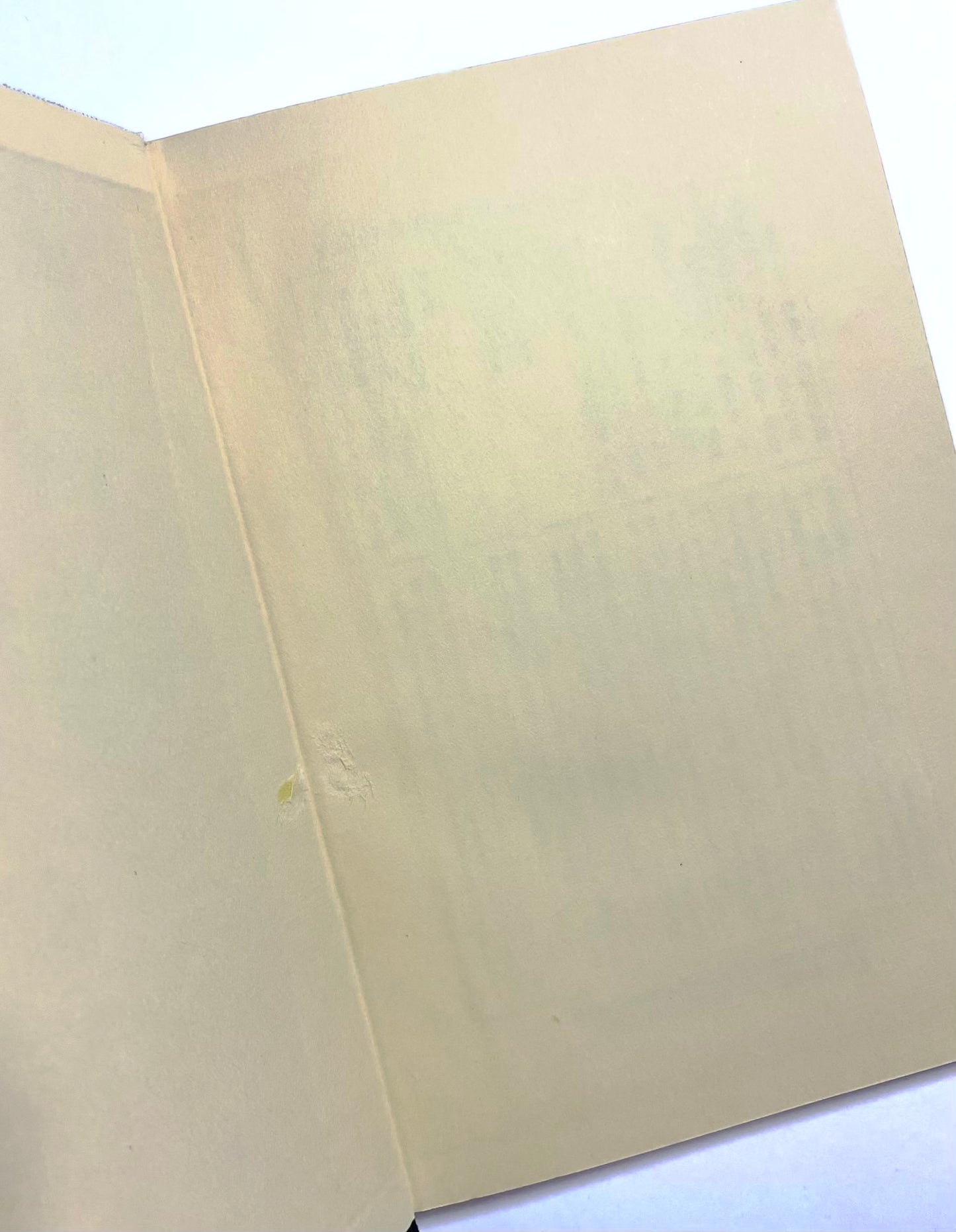 孤独な青年の休暇