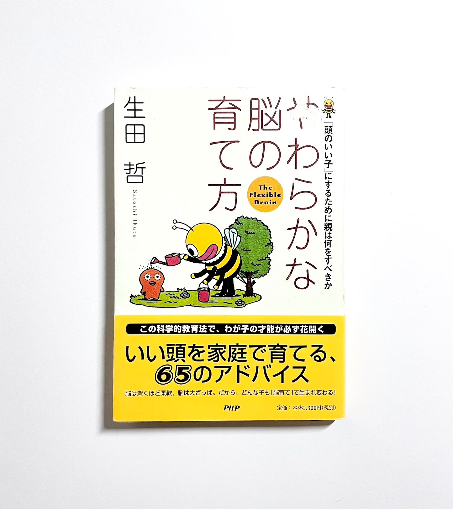 やわらかな脳の育て方―「頭のいい子」にするために親は何をすべきか