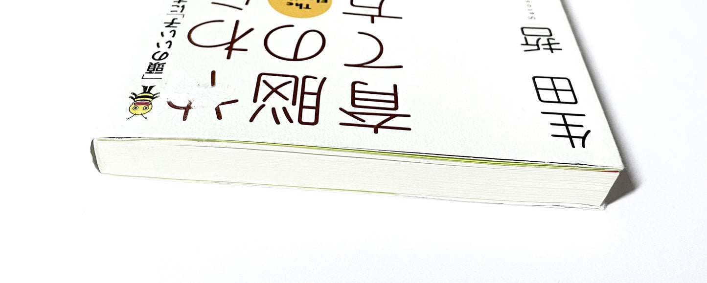 やわらかな脳の育て方―「頭のいい子」にするために親は何をすべきか