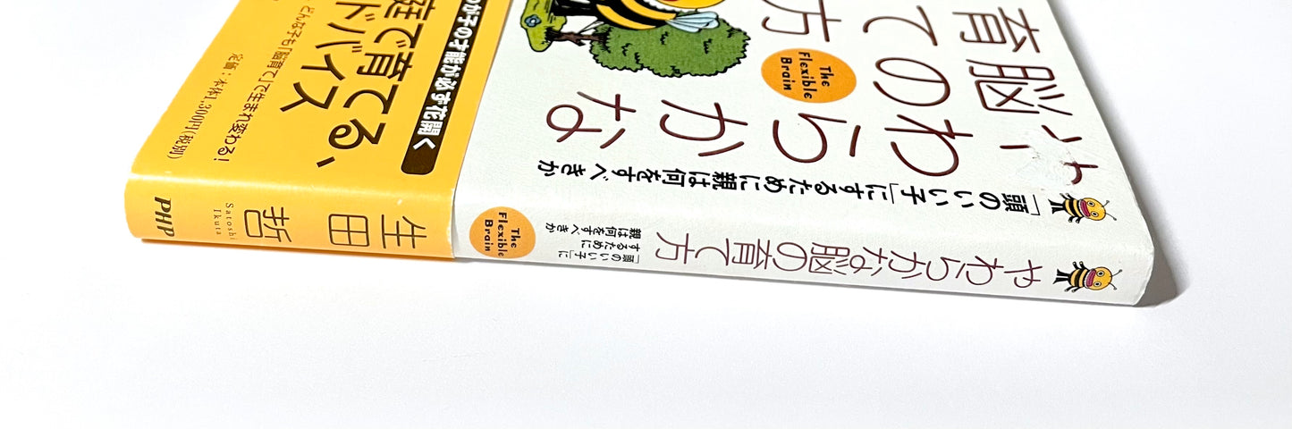 やわらかな脳の育て方―「頭のいい子」にするために親は何をすべきか