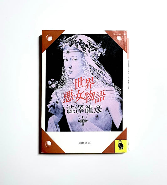 世界悪女物語  河出文庫澁澤龍彦コレクション