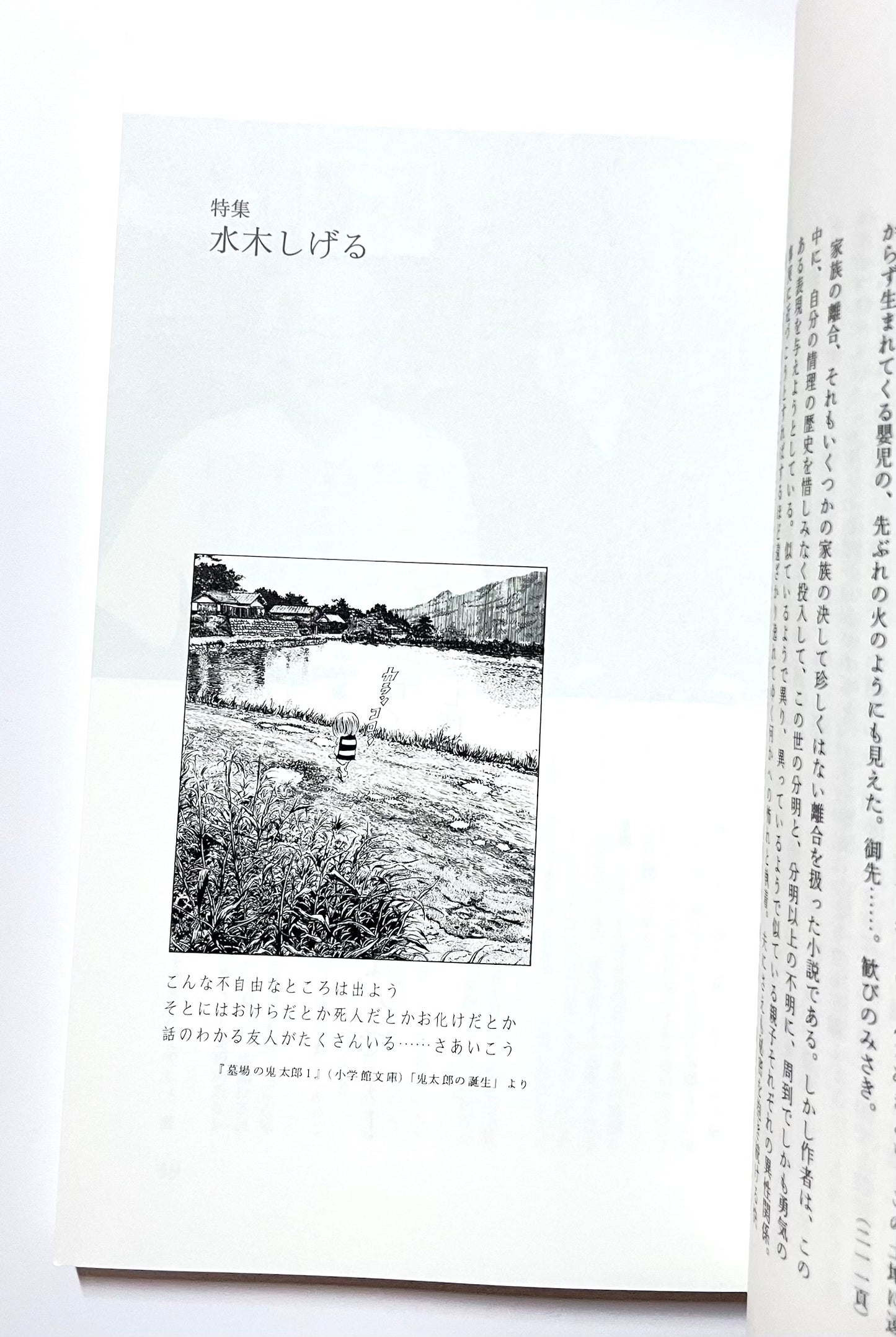 ユリイカ 詩と批評 (2005年9月号) 特集 水木しげる / Eureka: Poetry and Criticism — September 2005 Issue: Special Feature on Shigeru Mizuki