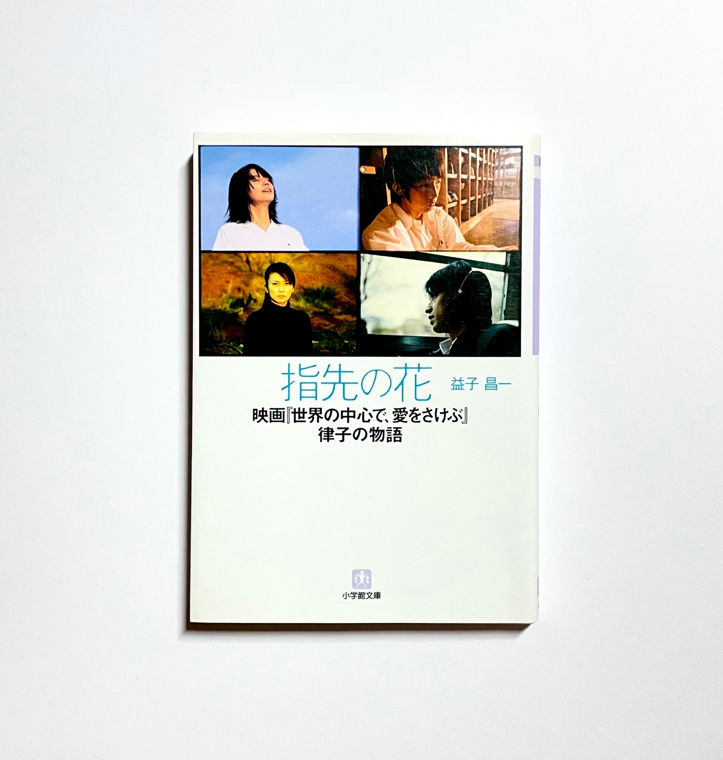 指先の花: 映画「世界の中心で、愛をさけぶ」律子の物語