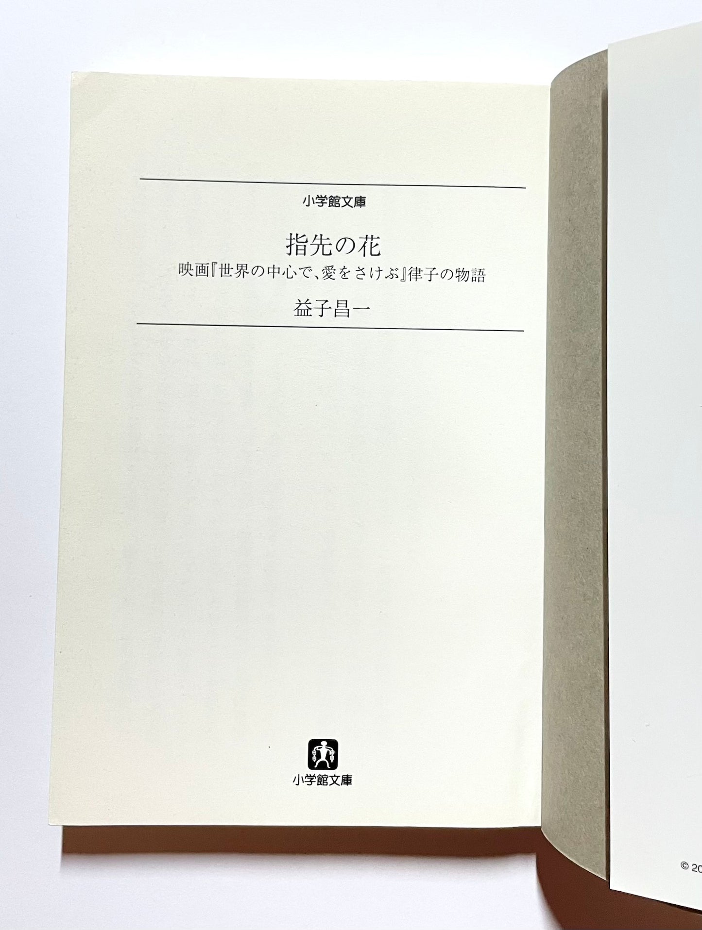 指先の花: 映画「世界の中心で、愛をさけぶ」律子の物語