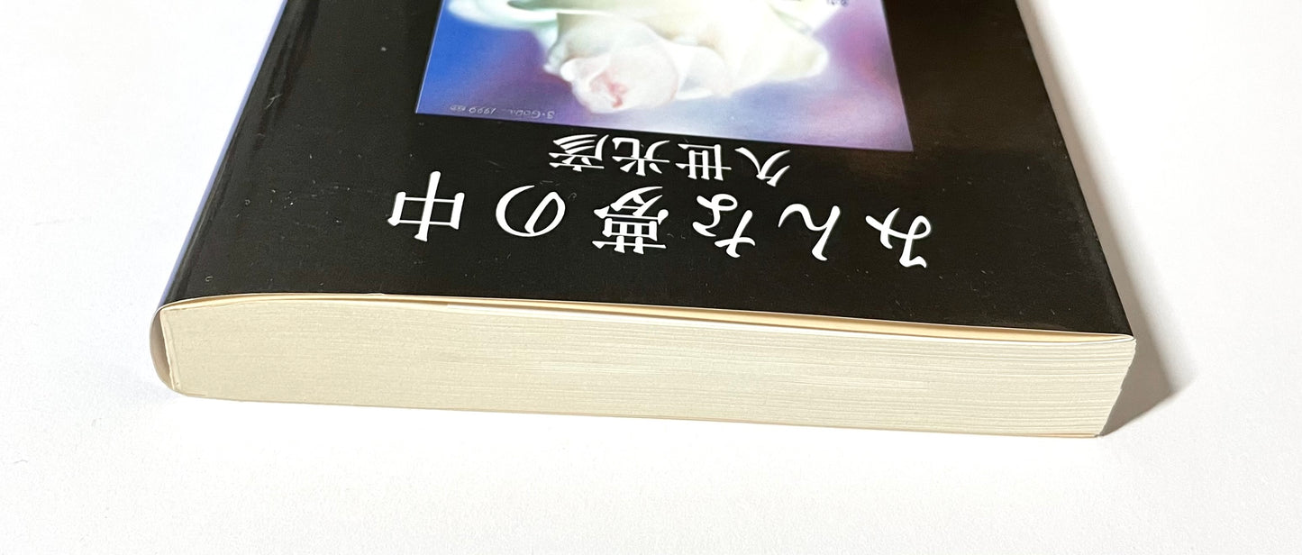 みんな夢の中 ― 続マイ・ラスト・ソング