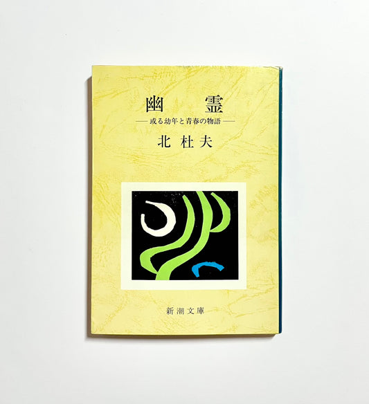 幽霊 ― 或る幼年と青春の物語