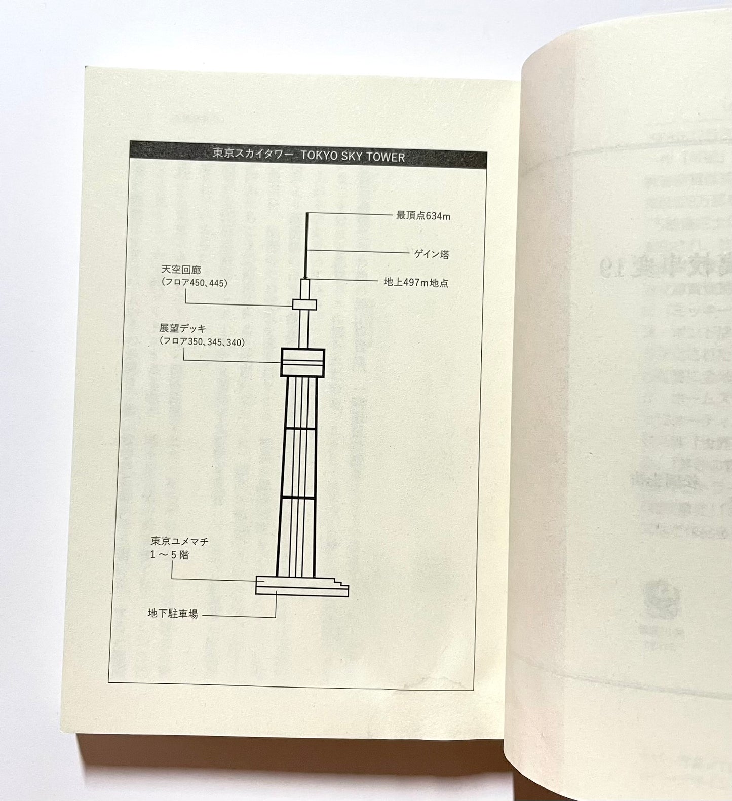高校事変 19