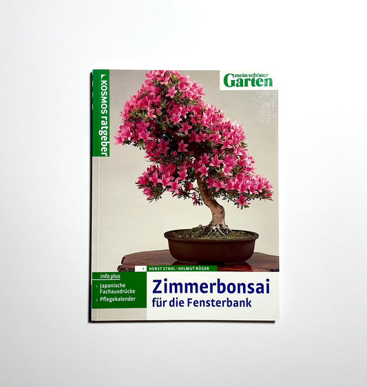 Zimmerbonsai für die Fensterbank
