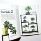Zimmerbonsai für die Fensterbank