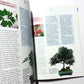 Zimmerbonsai für die Fensterbank
