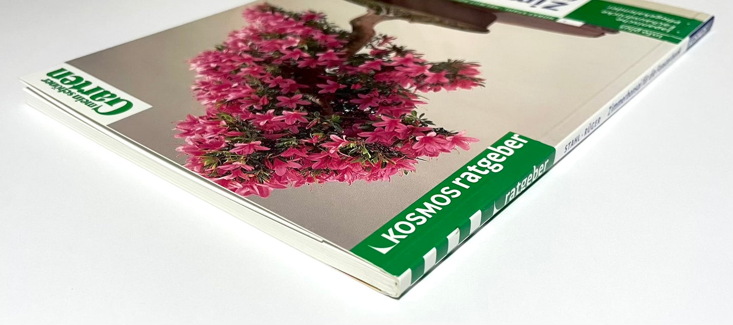 Zimmerbonsai für die Fensterbank