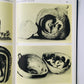 Erotische Kunst in China, Japan, Indien und Arabien