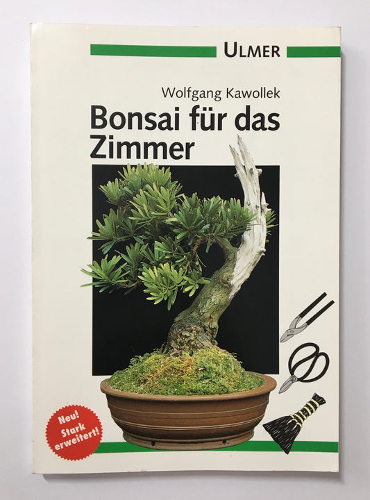 Bonsai für das Zimmer