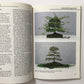 Bonsai für das Zimmer