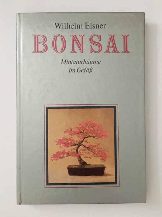 Bonsai : Miniaturbäume im Gefäß