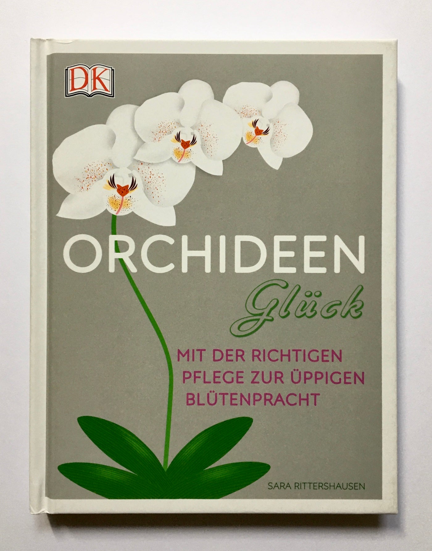 Orchideen-Glück: Mit der richtigen Pflege zur üppigen Blütenpracht