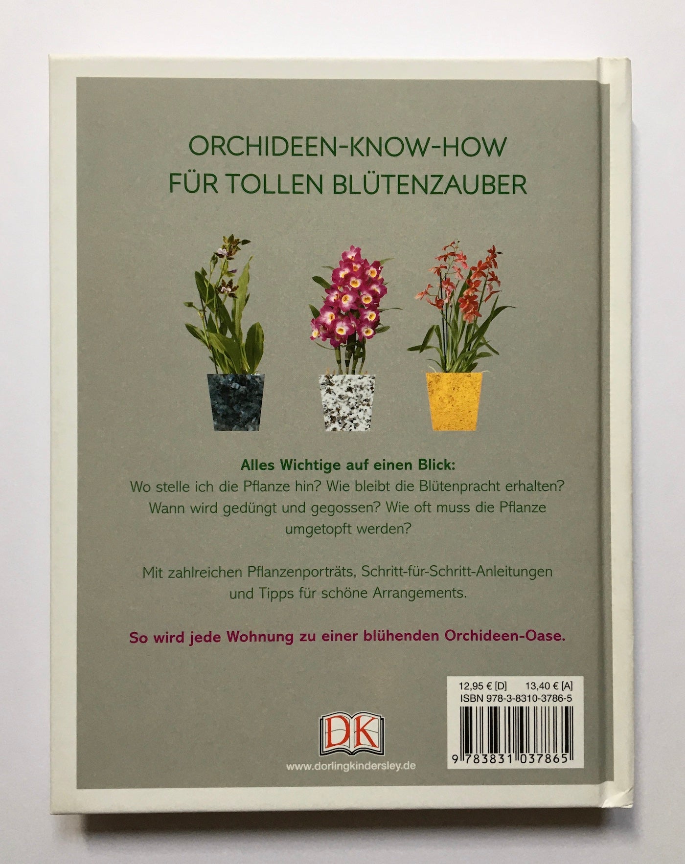 Orchideen-Glück: Mit der richtigen Pflege zur üppigen Blütenpracht
