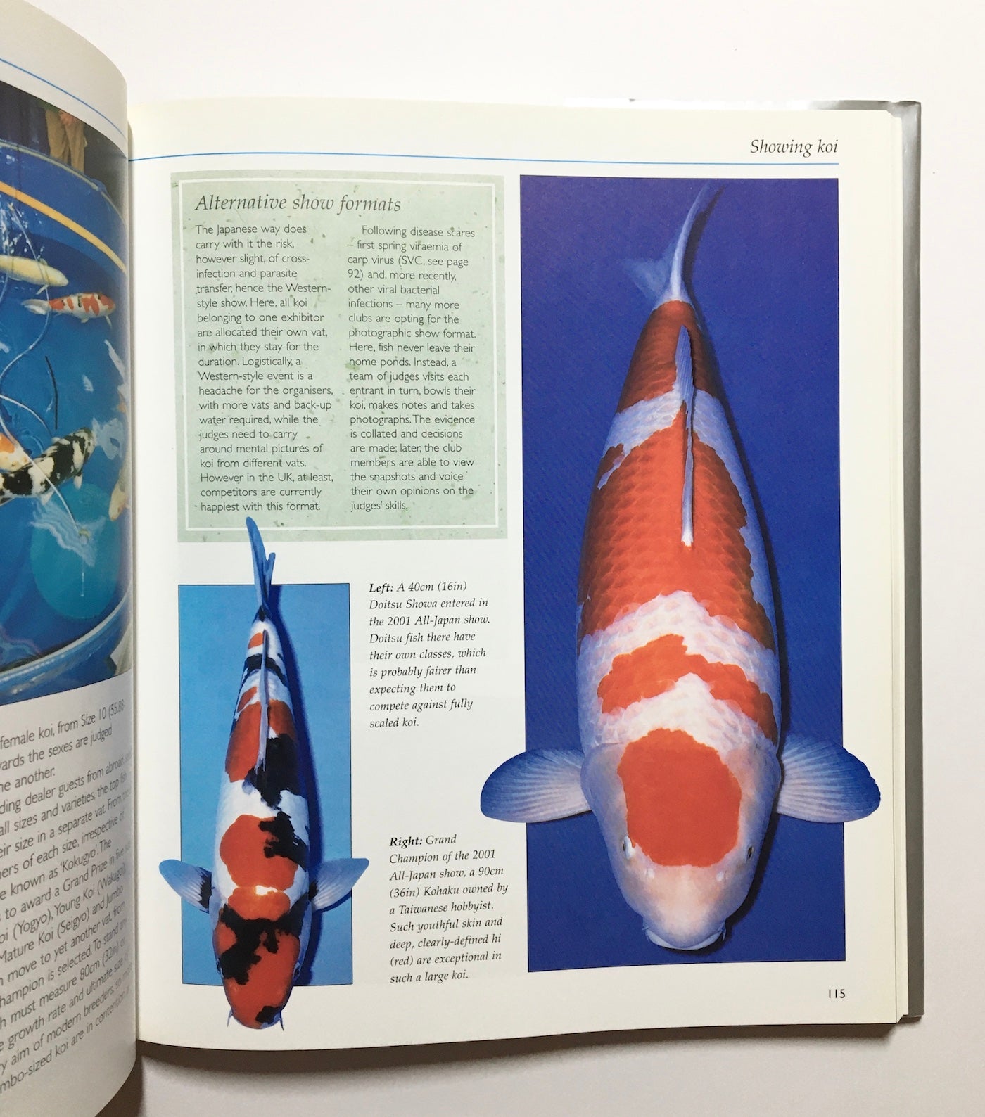 Koi : A Colourful and Comprehensive Celebration of These Beautiful Ornamental Fish