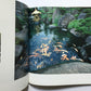 Incomparable Japanese gardens