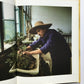 Chinese bonsai: The Art of Penjing