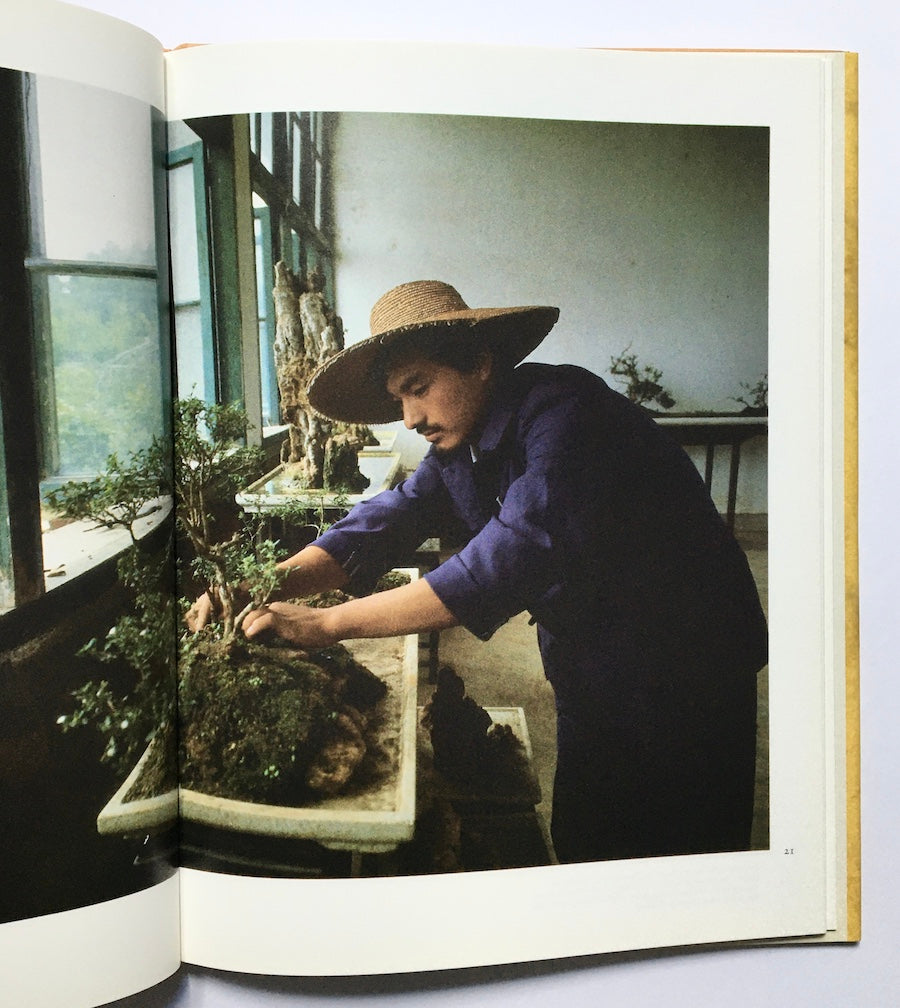 Chinese bonsai: The Art of Penjing