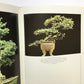Chinese bonsai: The Art of Penjing