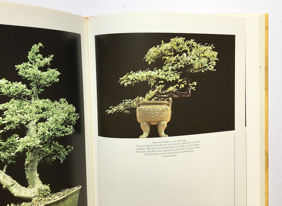 Chinese bonsai: The Art of Penjing