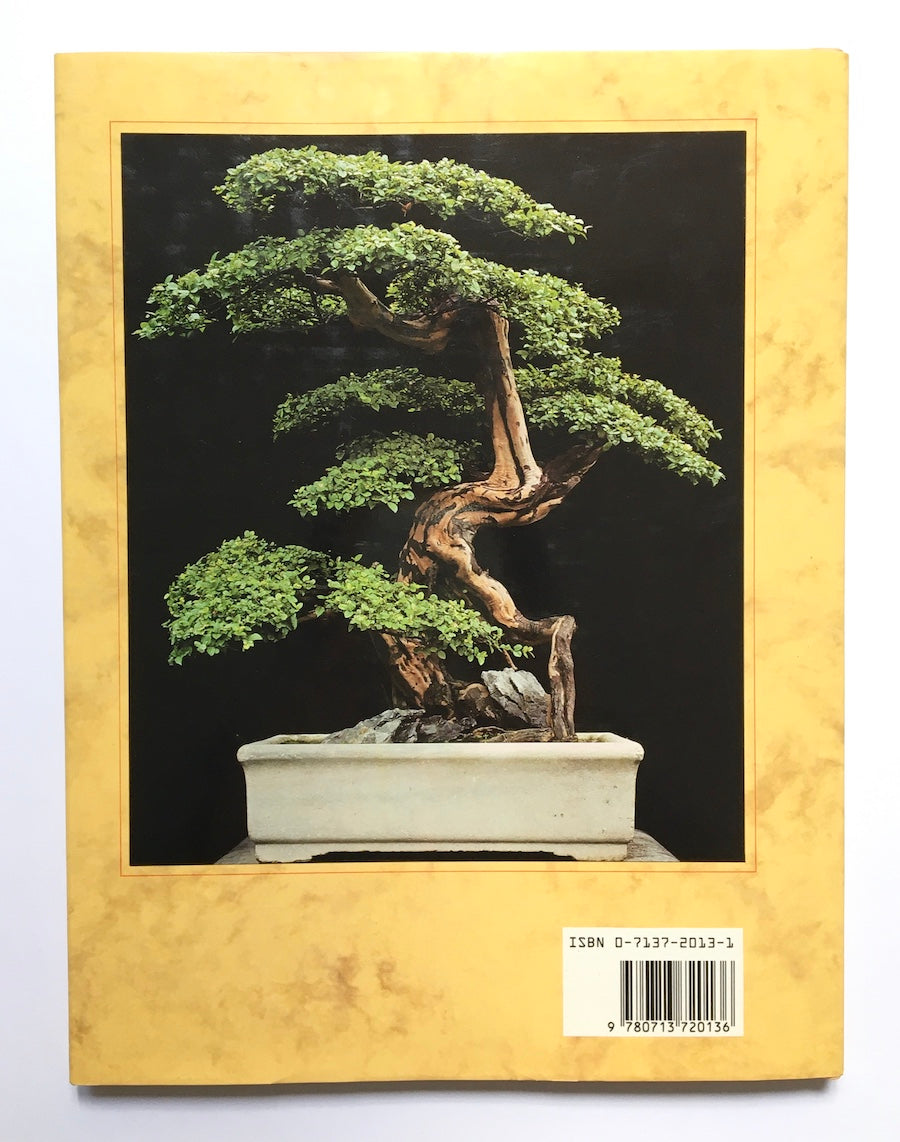 Chinese bonsai: The Art of Penjing