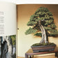 The beauty of Bonsai: A guide to displaying and viewing nature's exquisite sculpture