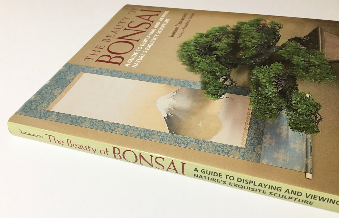 The beauty of Bonsai: A guide to displaying and viewing nature's exquisite sculpture