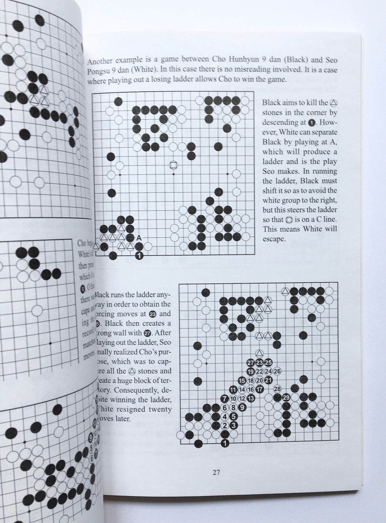 Mastering ladders (with DVD)