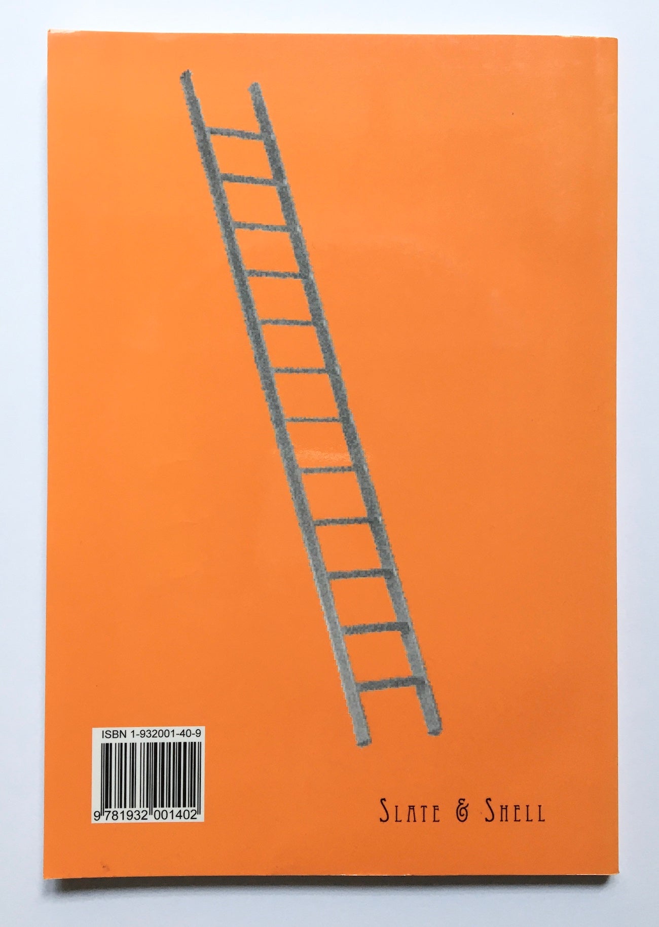 Mastering ladders (with DVD)