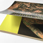 Skin shows III： The art of tattoo