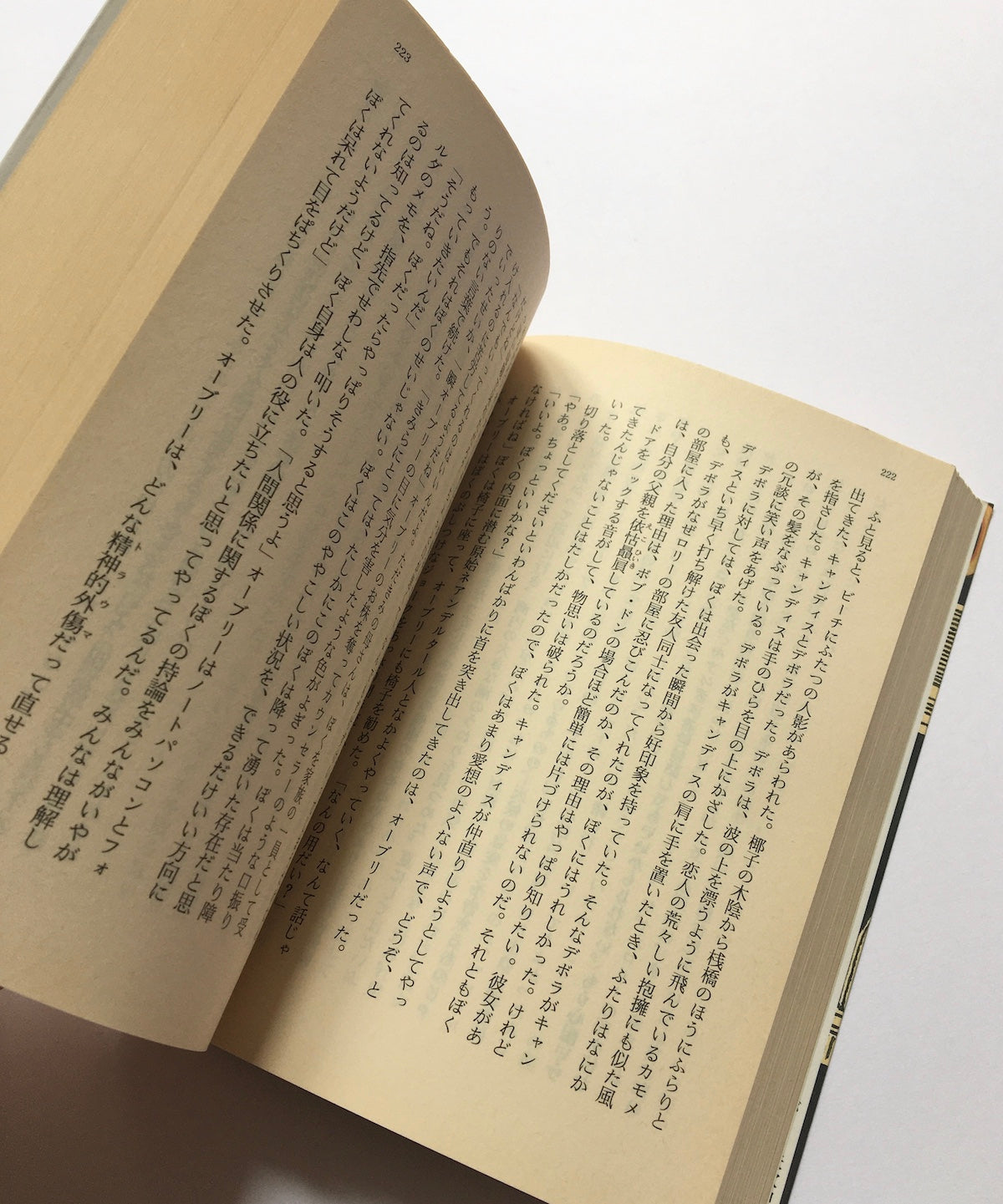 図書館長の休暇