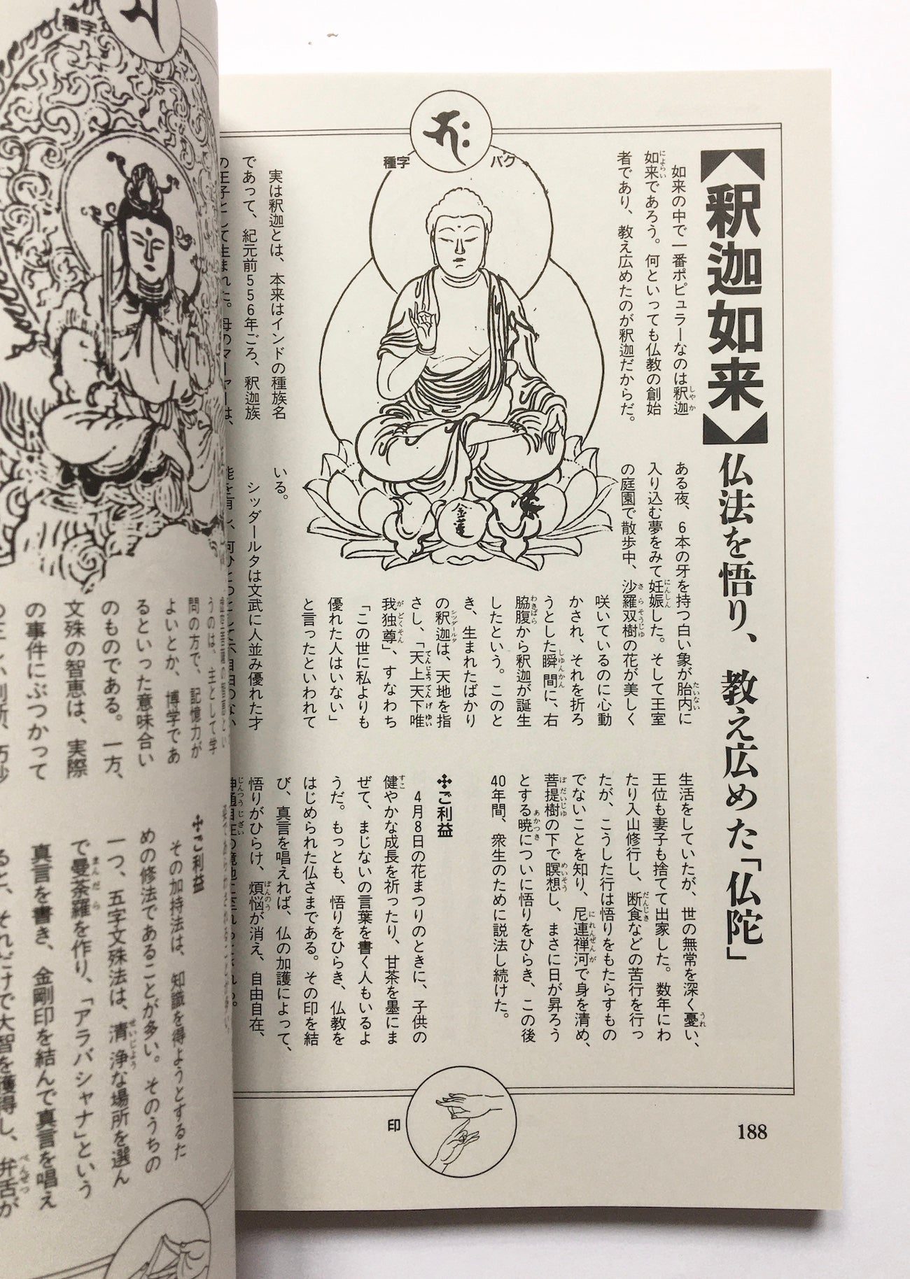 密教の本 : 驚くべき秘儀・修法の世界（Ｎｅｗ ｓｉｇｈｔ ｍｏｏｋ Books esoterica）