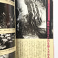 日蓮の本 : 末法の世を撃つ法華経の予言 (NEW SIGHT MOOK Books Esoterica 5)