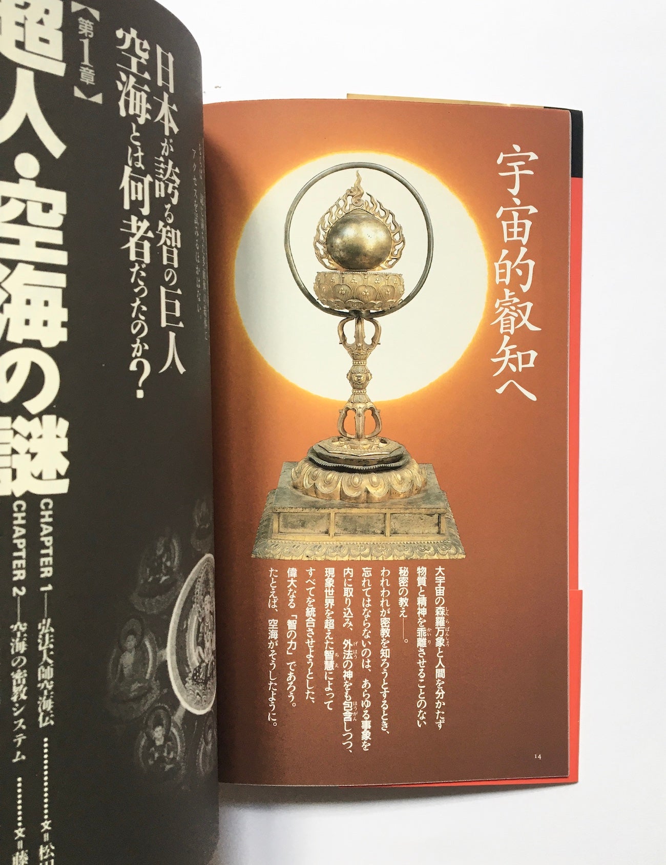 真言密教の本 : 空海伝説の謎と即身成仏の秘密 (NEW SIGHT MOOK Books Esoterica 19)