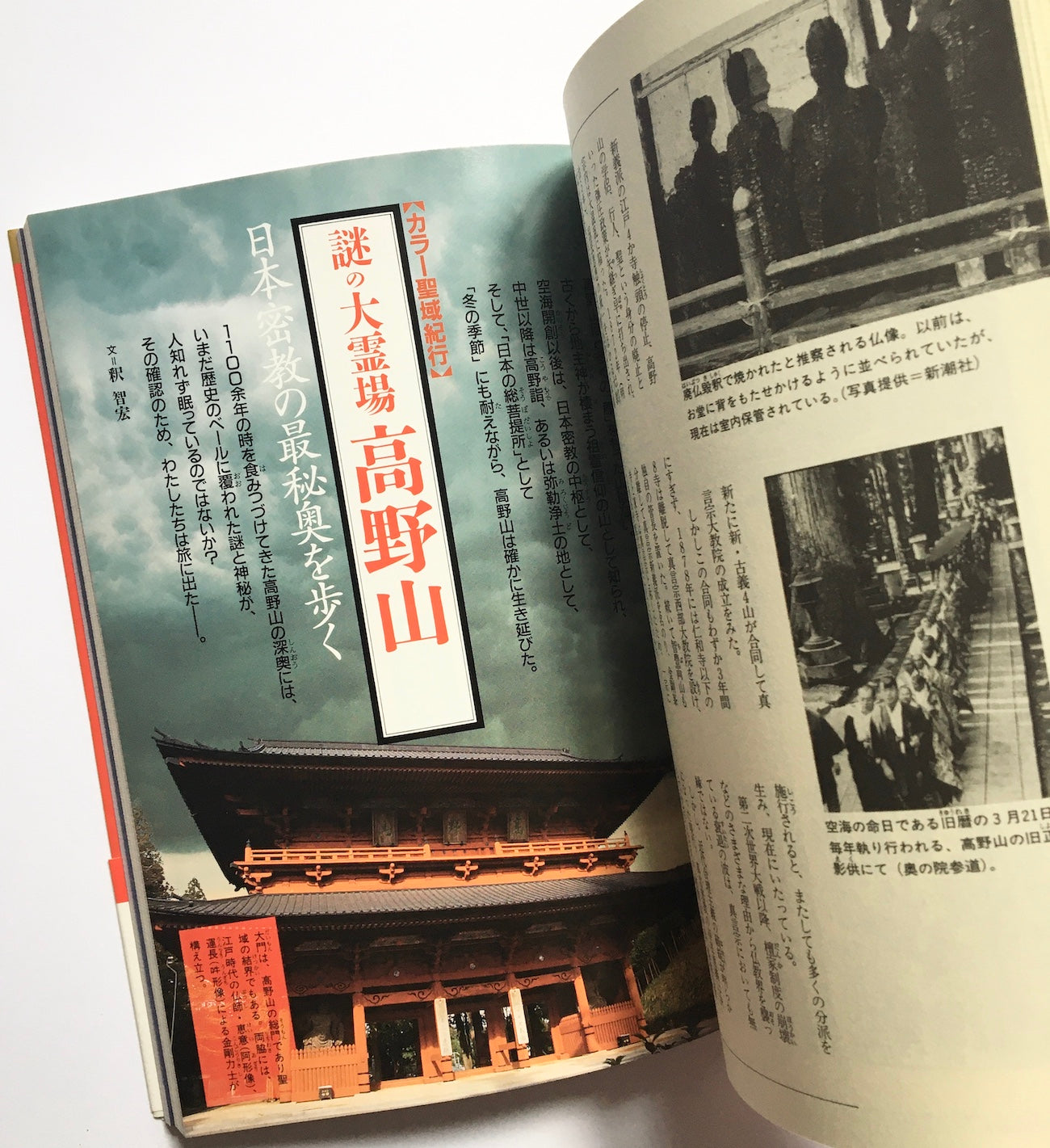 真言密教の本 : 空海伝説の謎と即身成仏の秘密 (NEW SIGHT MOOK Books Esoterica 19)