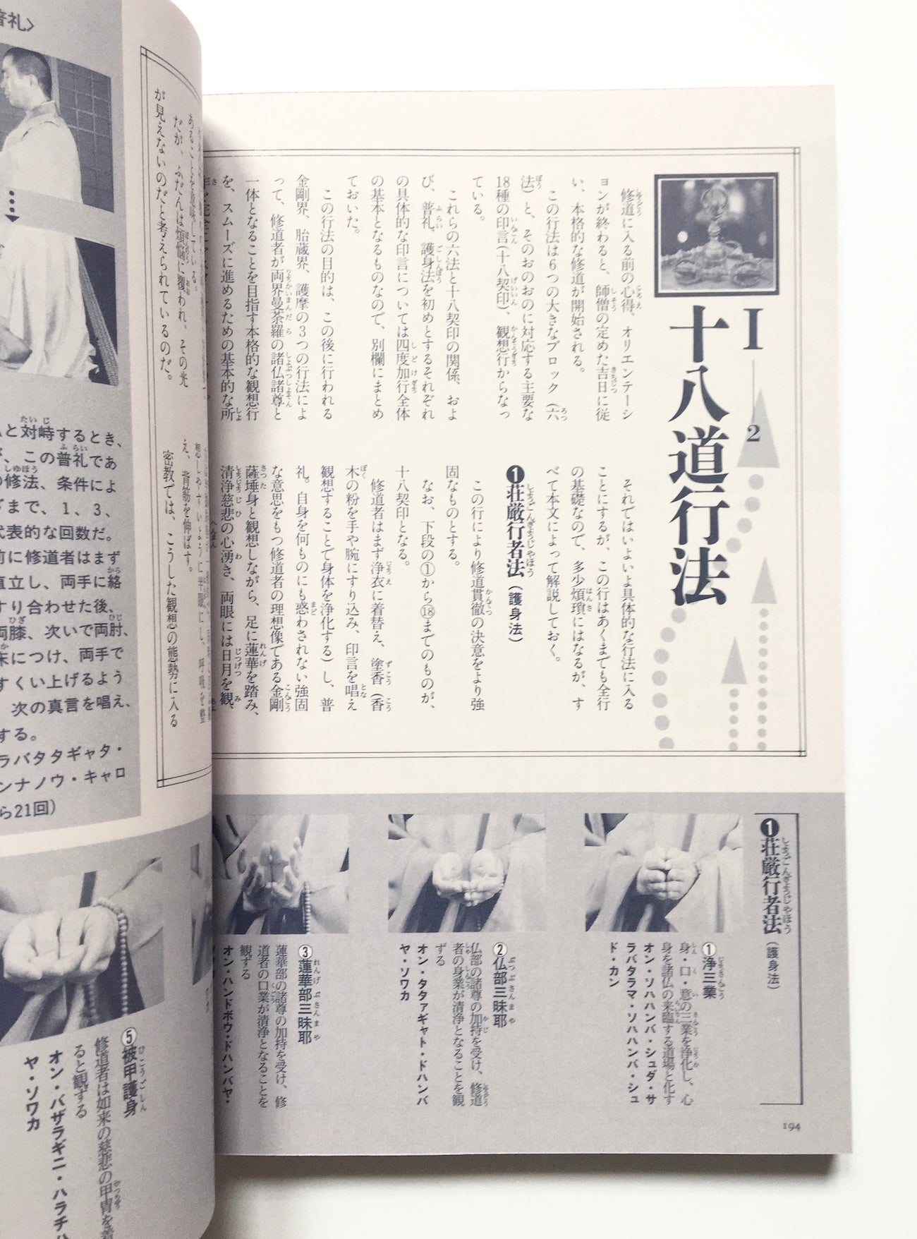 真言密教の本 : 空海伝説の謎と即身成仏の秘密 (NEW SIGHT MOOK Books Esoterica 19)