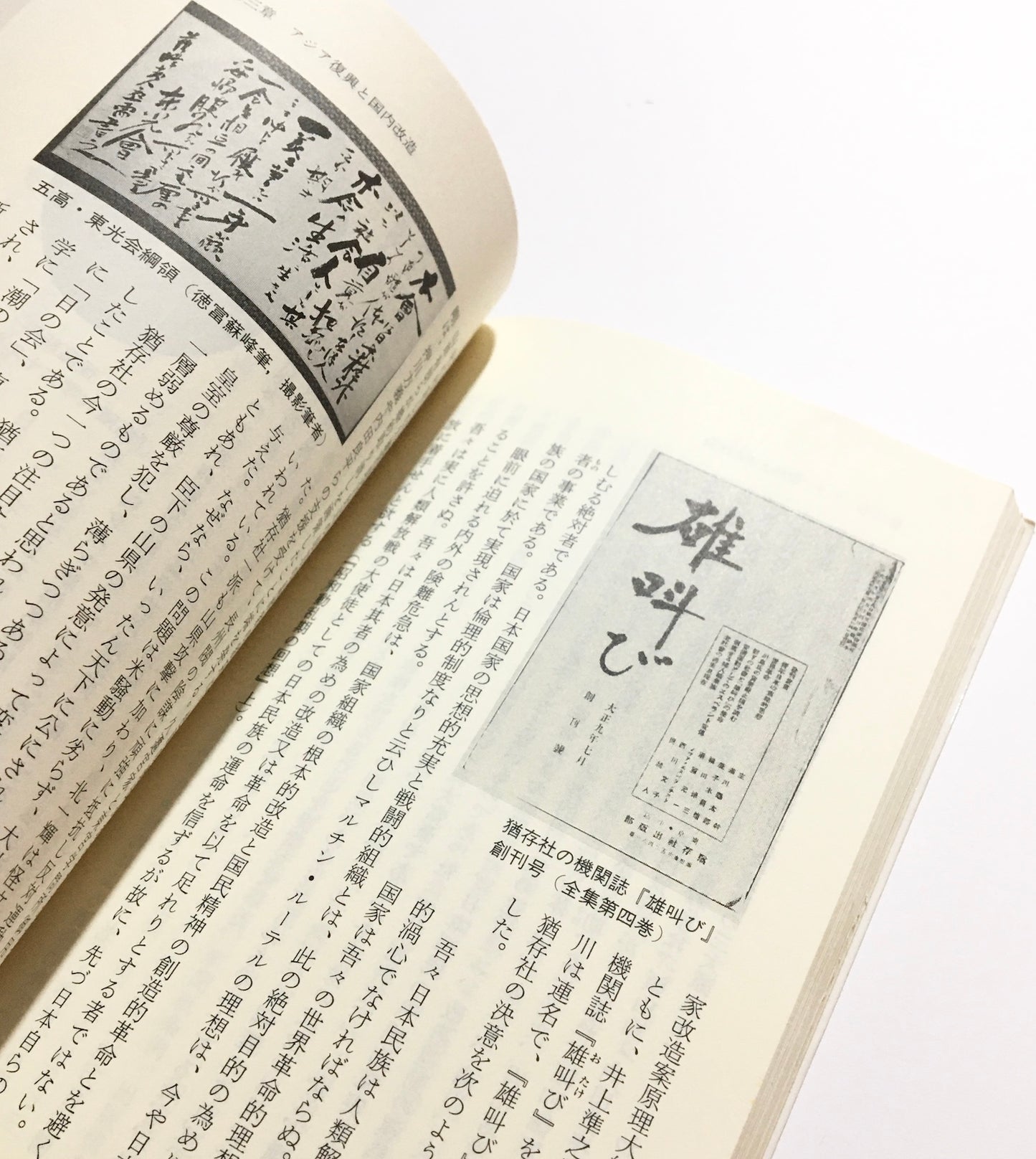 大川周明 ある復古革新主義者の思想