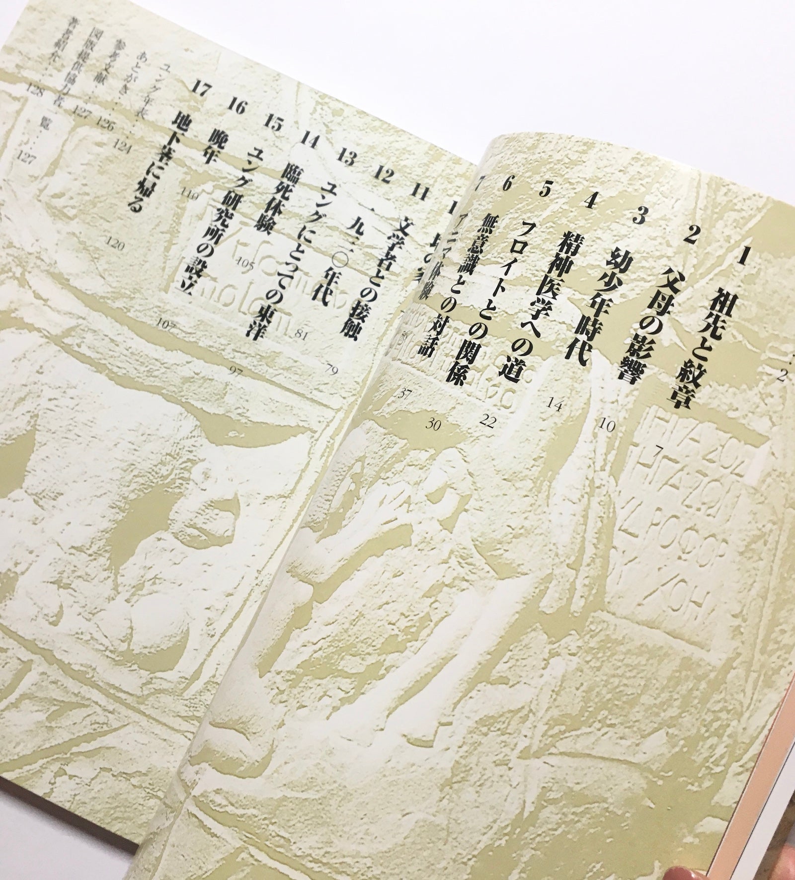 図説ユング : 自己実現と救いの心理学 – Tsubaki japanese bookstore