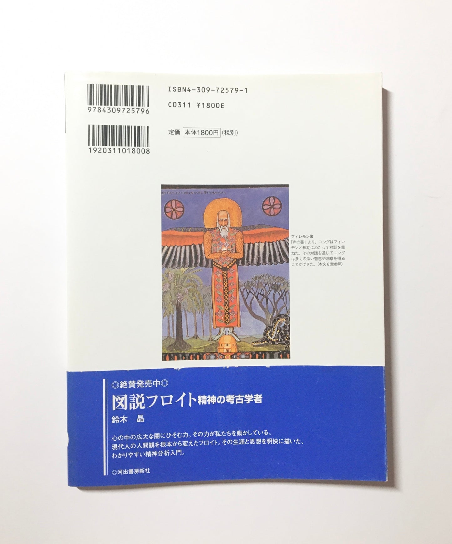 図説ユング : 自己実現と救いの心理学